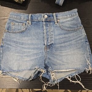 Everlane Light Blue Jean Shorts